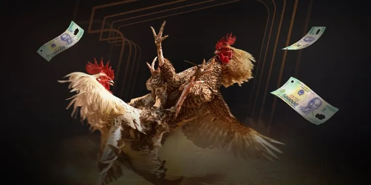 Hướng Dẫn Cách Chơi Đá Gà Sabong Tại SODO Chuẩn Xác Nhất